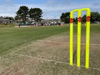 Cricket in aid of firefighters