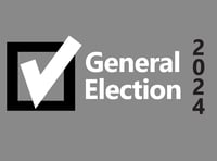 Torridge and Tavistock constituency