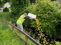 Duck race a success for a good cause