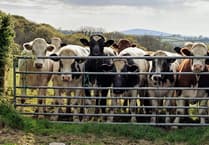 Family banned from keeping animals after causing 'shocking' suffering