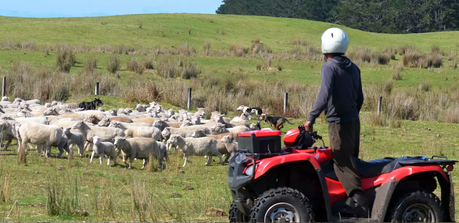 Police warn of rural thefts