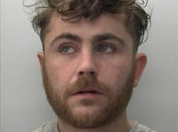 Holsworthy woman spared jail for Yodel van raid