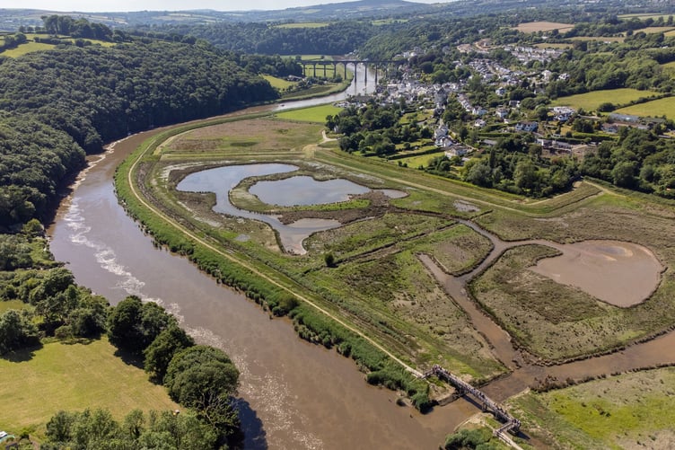 Calstock wetlands. (Picture: Tamar Valley National Landscape/Fotonow)