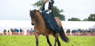Captivating display promised at Woolsery & District Agricultural Show