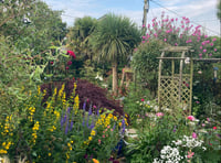 Town gardeners congratulated for blooms