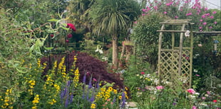 Town gardeners congratulated for blooms