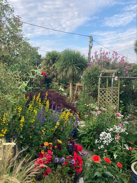 One of the winning displays for Camelford in Bloom