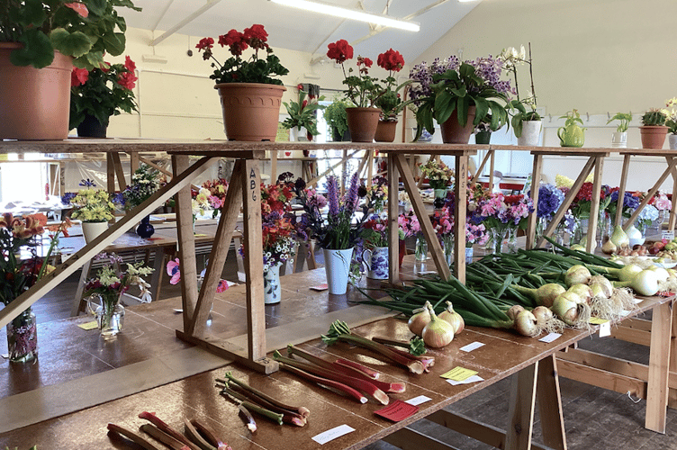 St Gennys Horticultural Show 2024