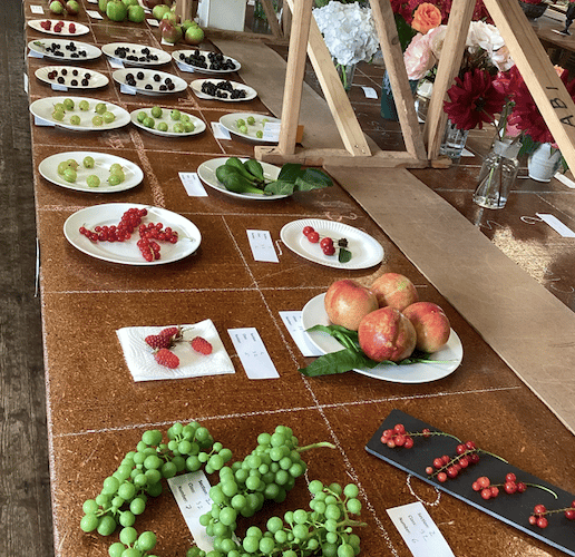 St Gennys Horticultural Show 2024