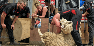 Shear brilliance as world record smashed