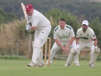 Miller and Worsnip half centuries in vain as Worth's ton sinks Trees