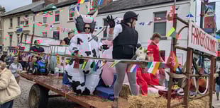 Volunteers needed for Bodmin Carnival