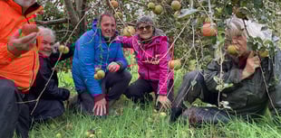 Cornwall Gleaning project seeks surplus apples 