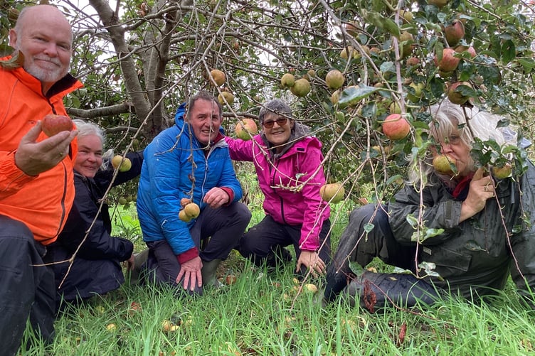 Cornwall Gleaning is looking for surplus apples from Cornish orchards.