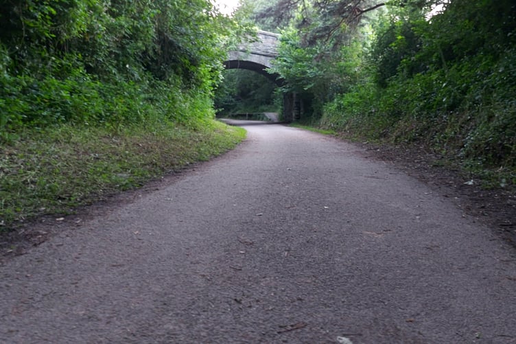 The Camel Trail near Dunmere. (Picture: Aaron Greenaway)