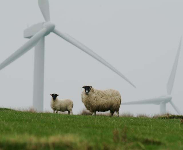 Police urge North Cornwall farmers stay vigilant amid livestock theft