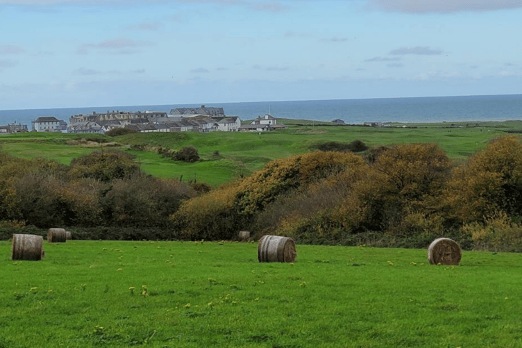 A photo of the site where the 140 lodges are proposed.