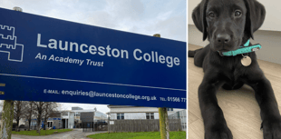 Launceston college introduce furry friend to support students 