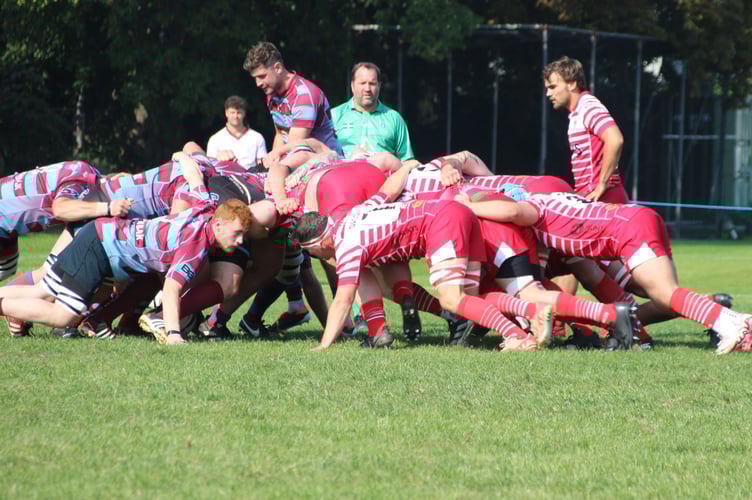 Bude scrum-half Charlie Watton, pictured orchestrating a scrum at Paignton last Saturday, is missing for tomorrow's home clash with leaders Plymstock Albion Oaks. Picture: Tony Berry