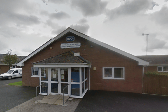 The RSPCA Cornwall branch is no longer taking in small animals 