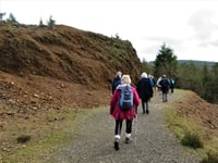 Explore the Tamar Valley this autumn with organised walks