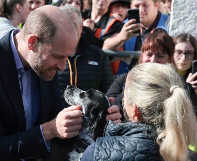 Fingerprints, fridge cake and dogs steal the show at Royal visit