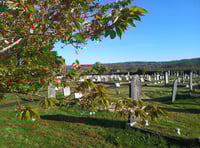Break in at council cemetery site