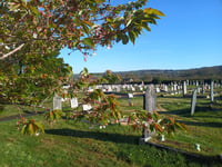 Break in at council cemetery site