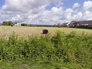 Council committee to decide if 14 homes will be built