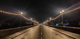 Volunteers sought to help install Christmas lights 