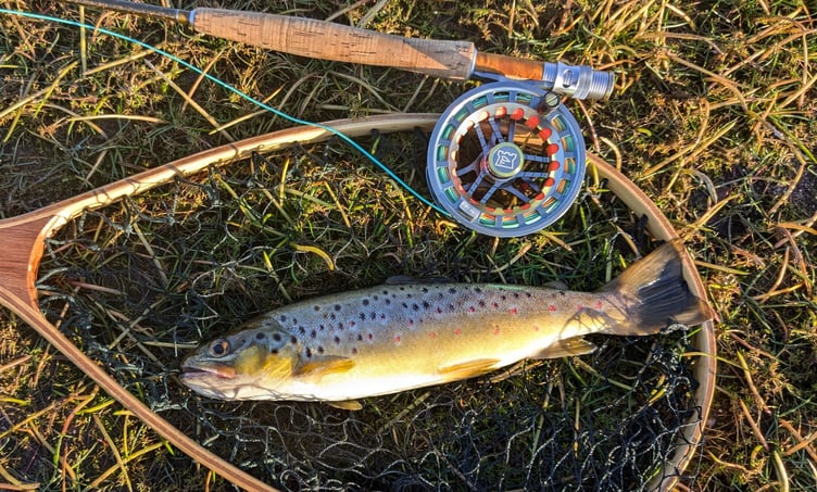 Paul Rollings' catch at Colliford. Picture: South West Lakes Trust