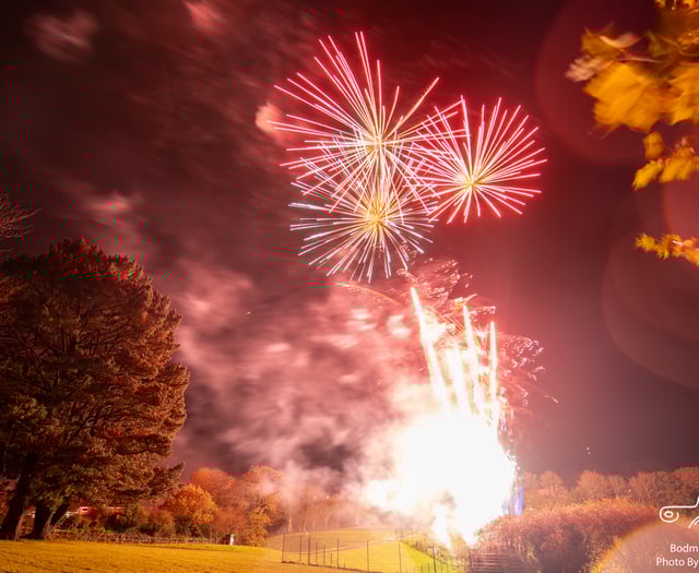 Firework organiser issues warning ahead of public display