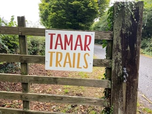 Zip ride plans rejected