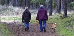 National Trust opens up garden to dogs
