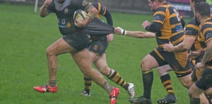 Castles roar back to see off Newquay Hornets