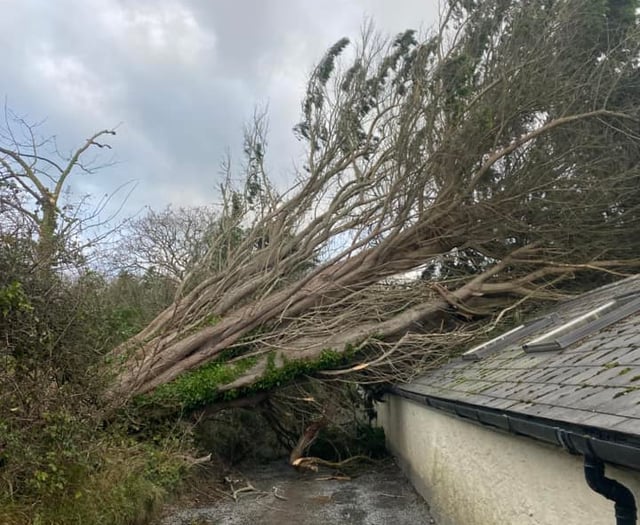 Clean up efforts begin in Bude in aftermath of Storm Darragh