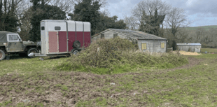 Planning: Cornwall Council says 'neigh' to stable demolition proposals