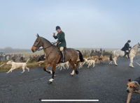 Foggy day for Boxing Day hunt meet