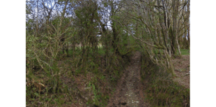 Plans to remove public access to thousands of walkways scrapped