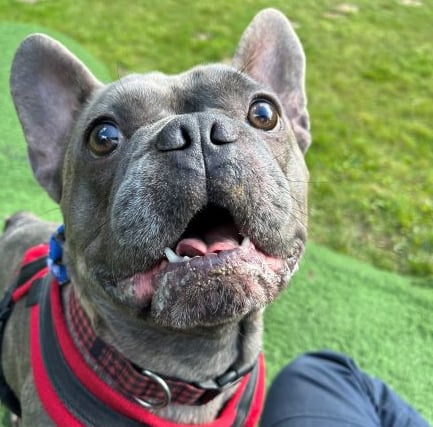 RSPCA centre records its best year ever for rehoming animals
