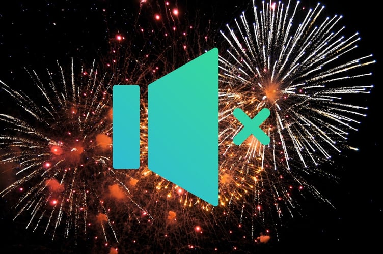 Should fireworks be silenced? 