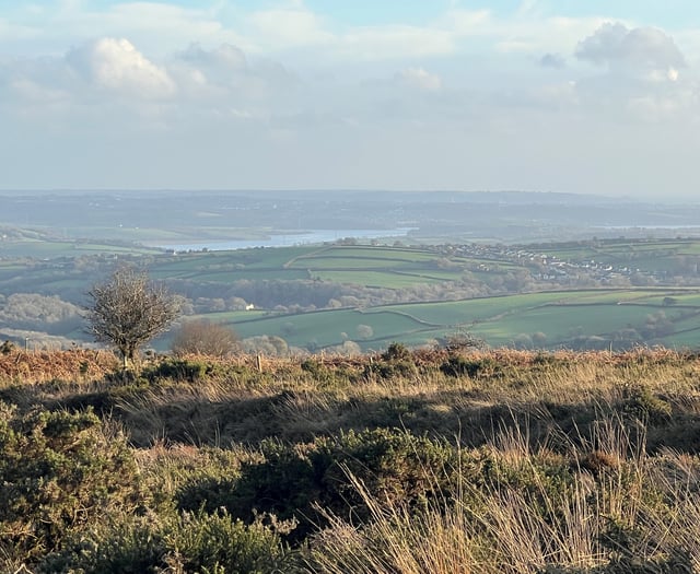 Planned walks offer chance to explore Tamar Valley