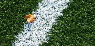 Football and rugby fixtures this weekend