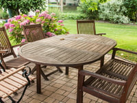How to protect your garden ahead of Storm Éowyn