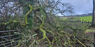Storm Eowyn: All the weather warnings in place for Cornwall