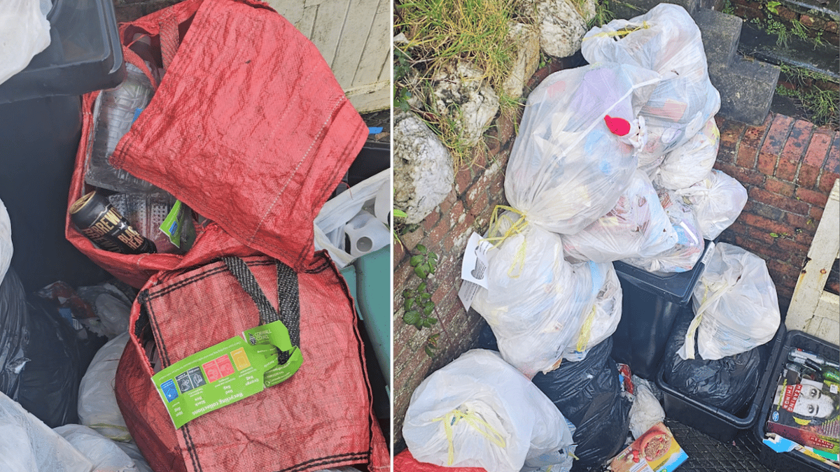 letter-bin-collection-issues-causing-significant-health-and-hygiene