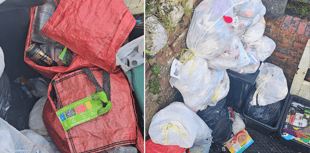 LETTER: Bin issues causing "significant health and hygiene risks"