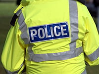 Police called after dead fox cubs spotted hanging from road sign