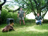 Neighbours accused of "kidnapping" beavers