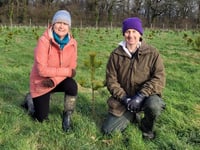 Farm land turned into forest of the future with thousands planted